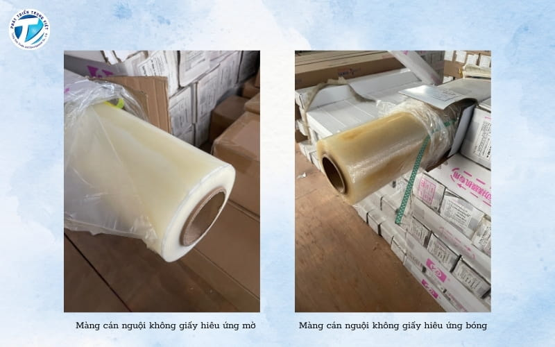 Mẫu sản phẩm màng cán trong hiệu ứng bóng/mờ